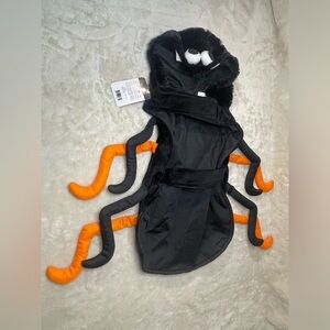 Buttons & Bones Spider Costume